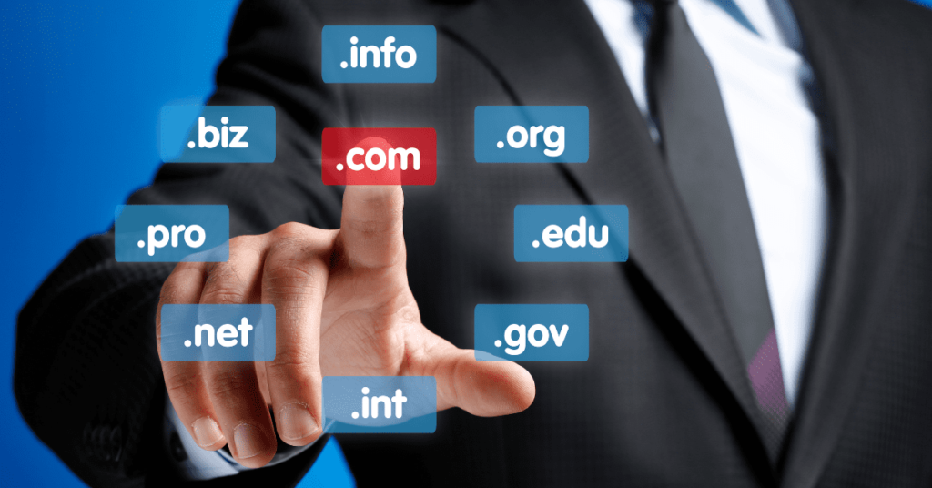 domain name search